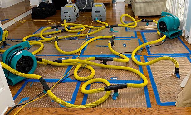 Professional Storm Water Damage Restoration technician working in LaBelle, FL